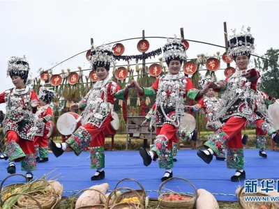 多地迎來(lái):多彩活動(dòng) 喜迎豐收